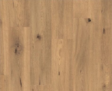 Forest Trail - Natural Oak